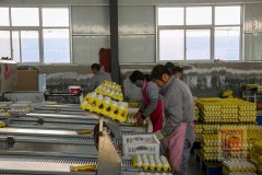 计来岁三季度可落成